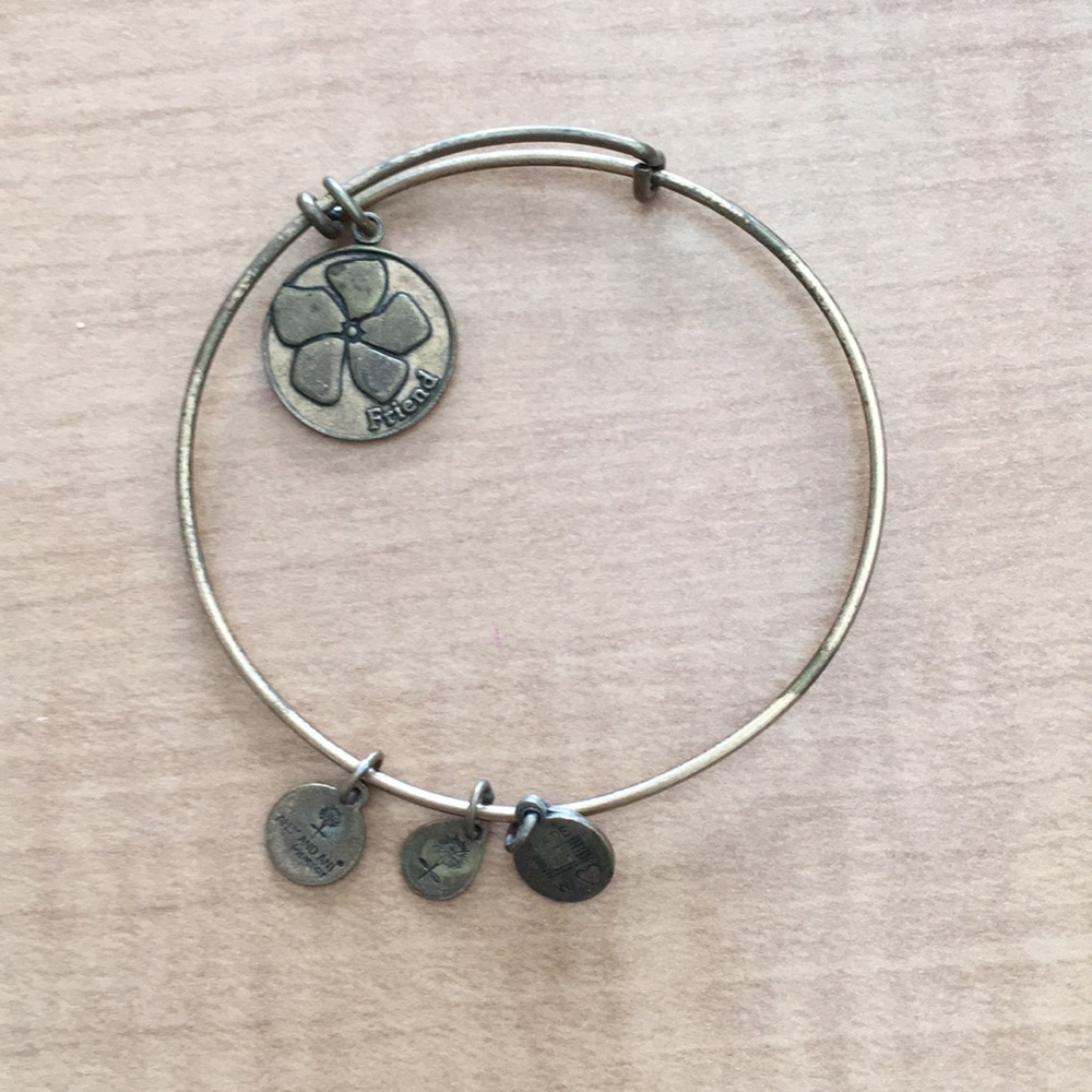 Alex and Ani bracelet